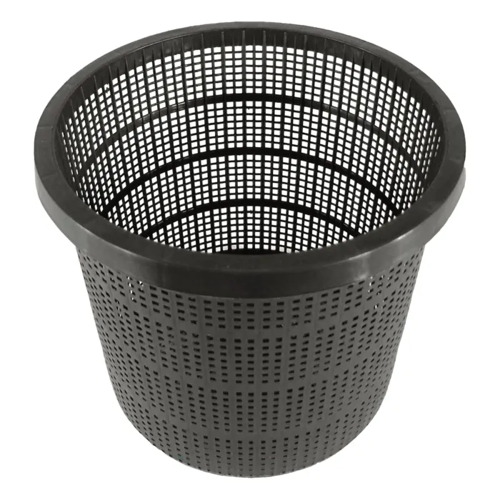 biezen-3713083