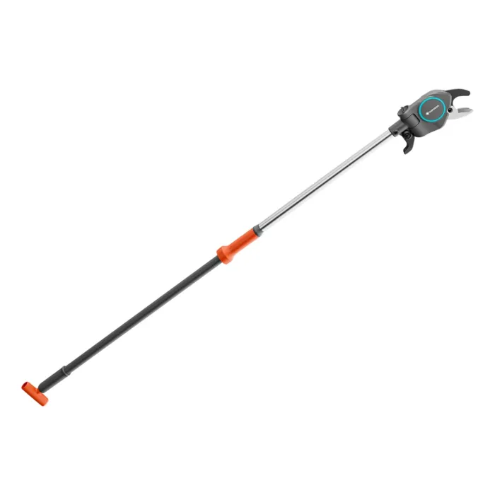 biezen-3715112