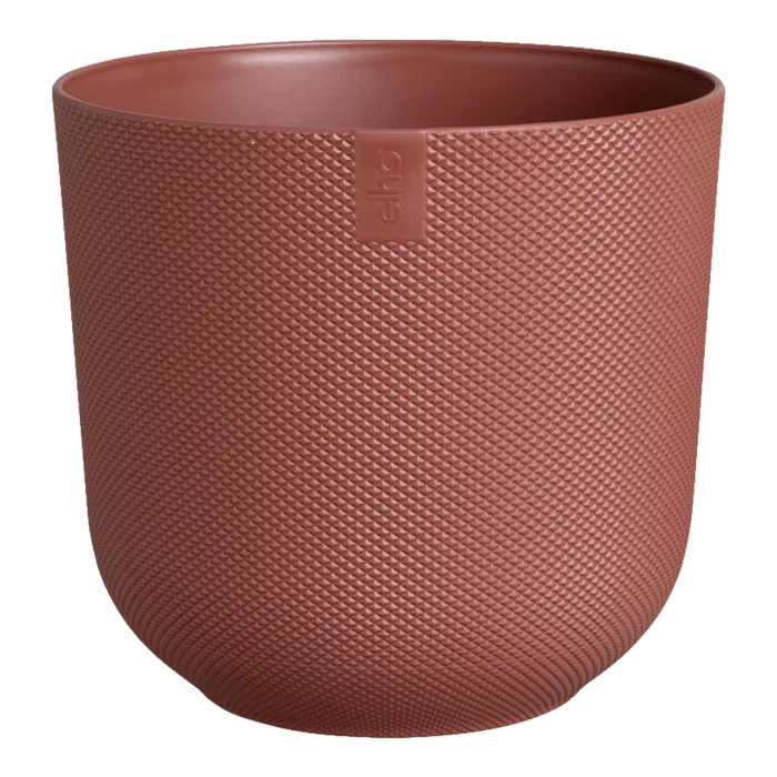 biezen-3716335