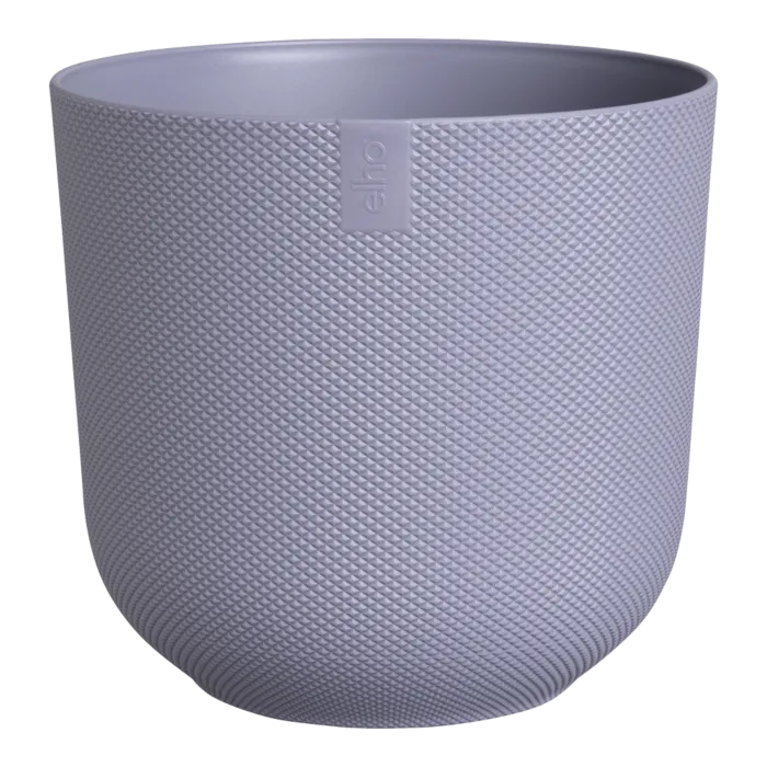 biezen-3716359