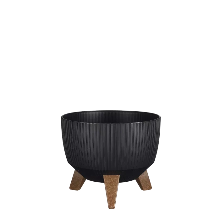 biezen-3725140