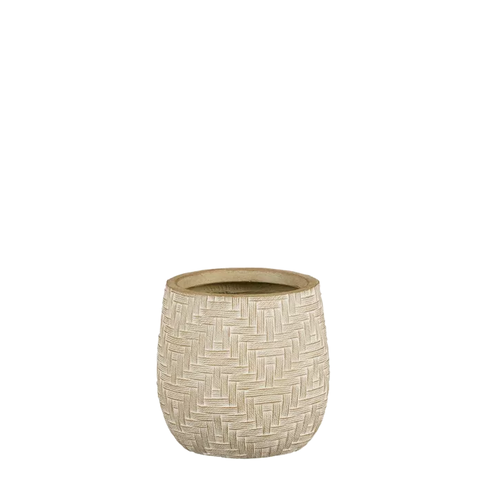 biezen-3725152