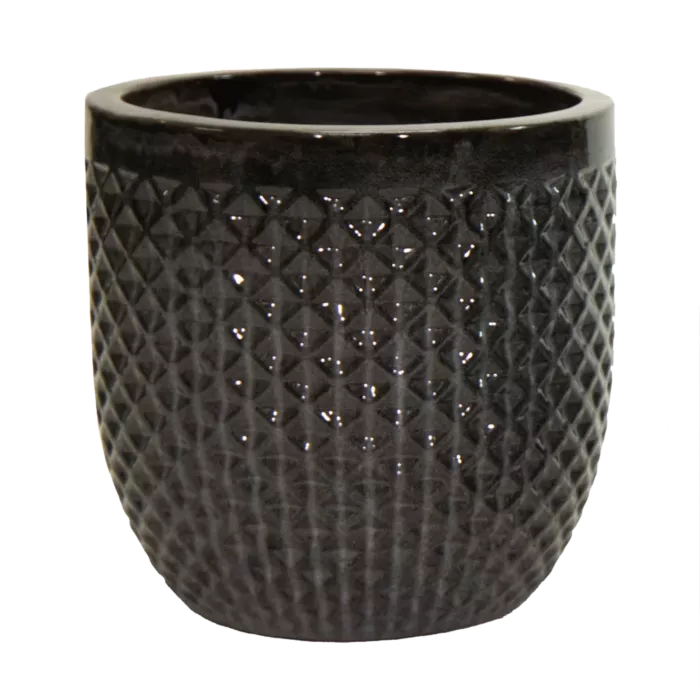 biezen-3725828