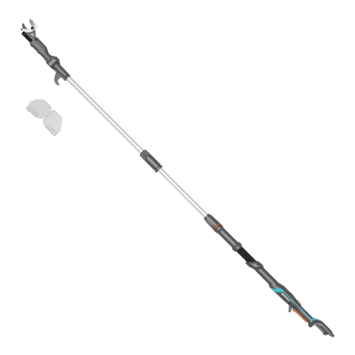 biezen-3727045