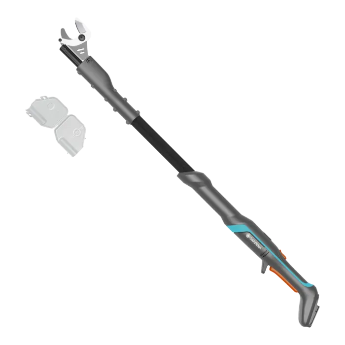 biezen-3727066