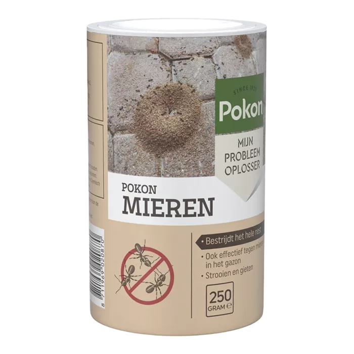 biezen-3727644