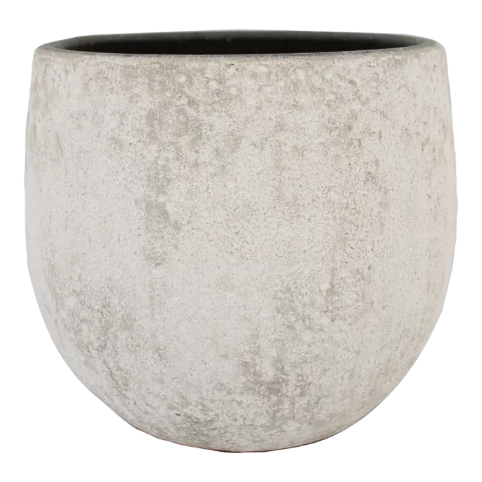 biezen-3728160