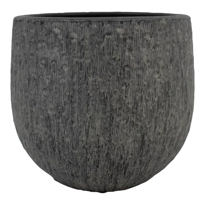 biezen-3728396