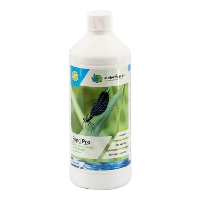 biezen-3732026
