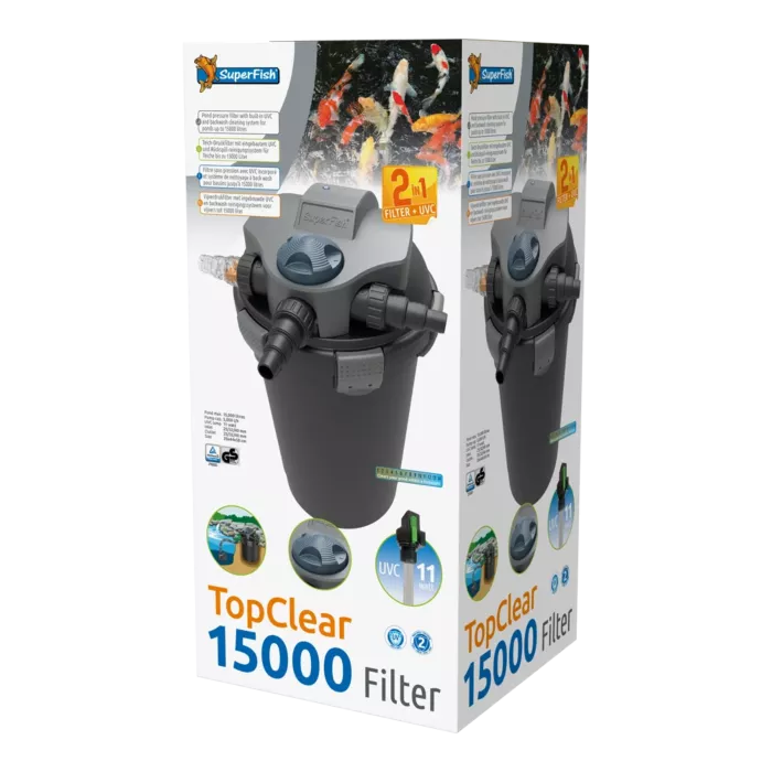 biezen-3732941