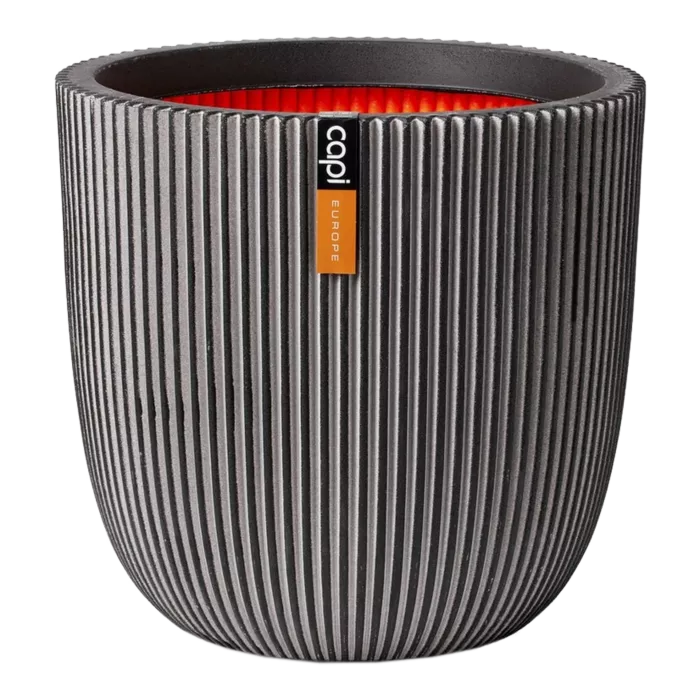 biezen-3733663