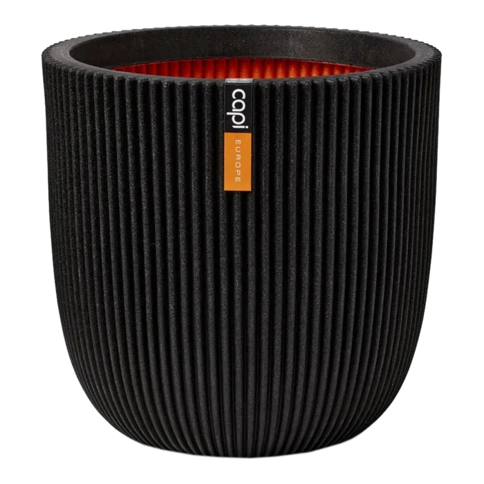 biezen-3733691
