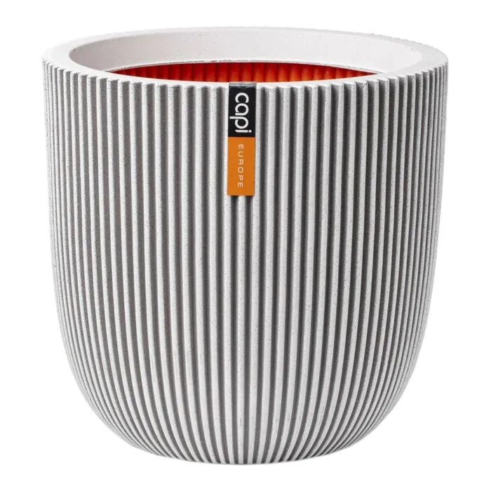 biezen-3733717