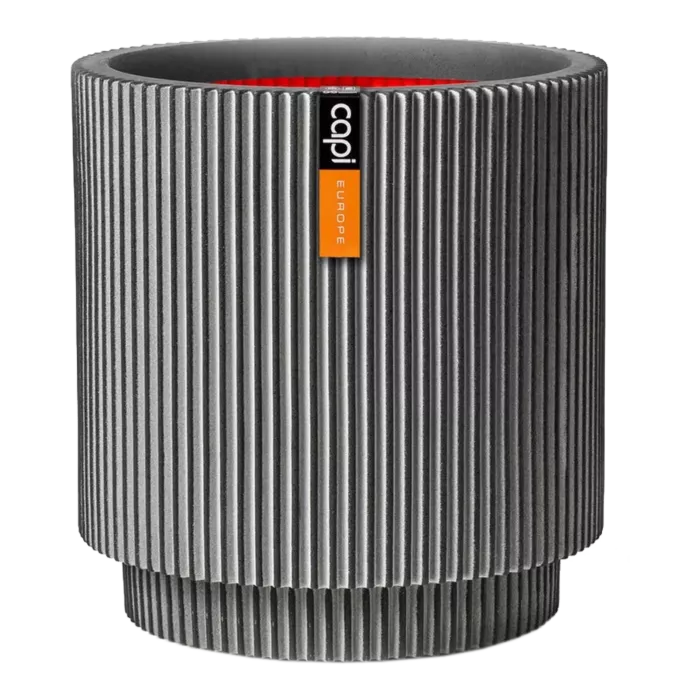 biezen-3733848