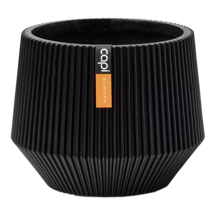biezen-3734048