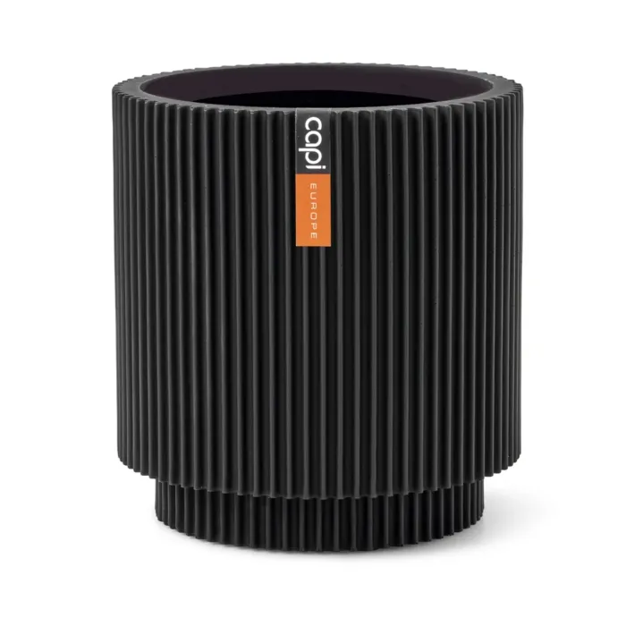 biezen-3734170
