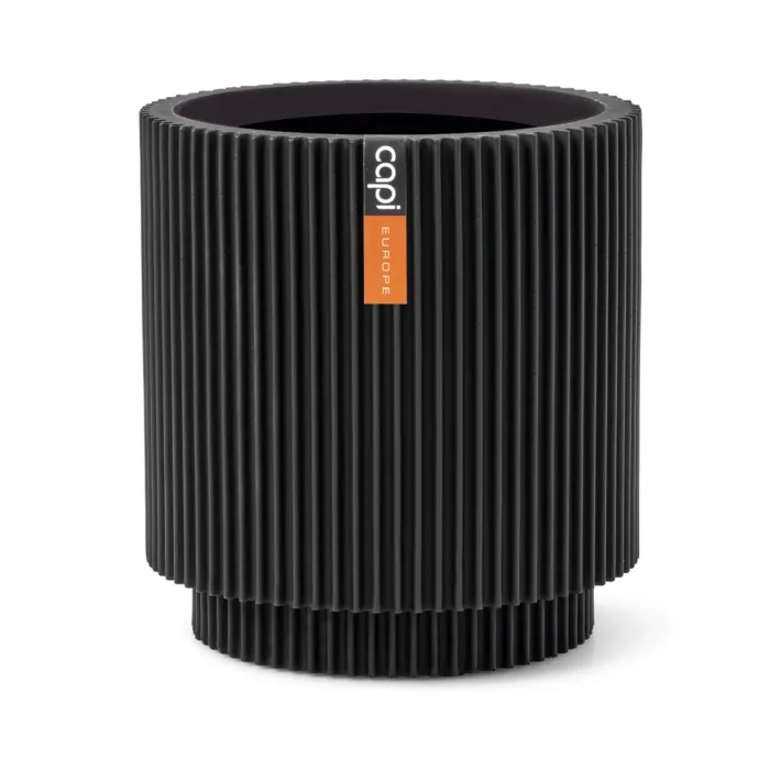 biezen-3734181