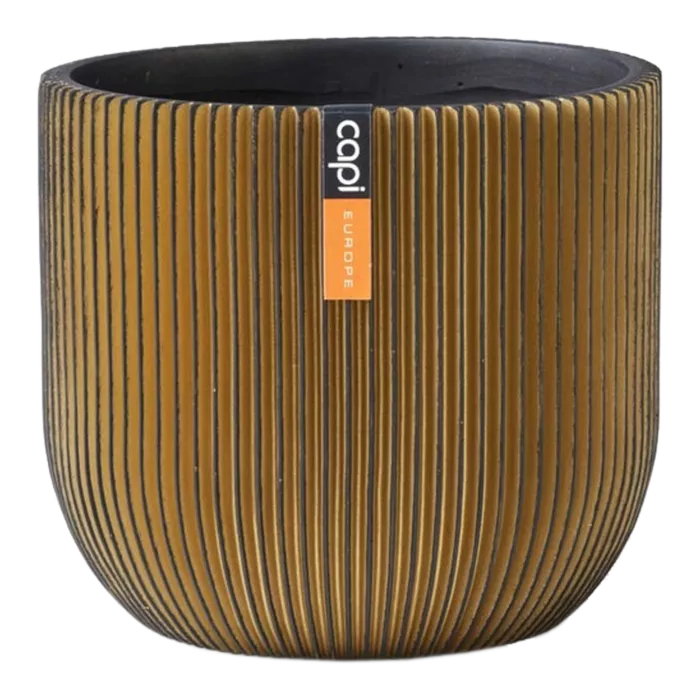 biezen-3734305