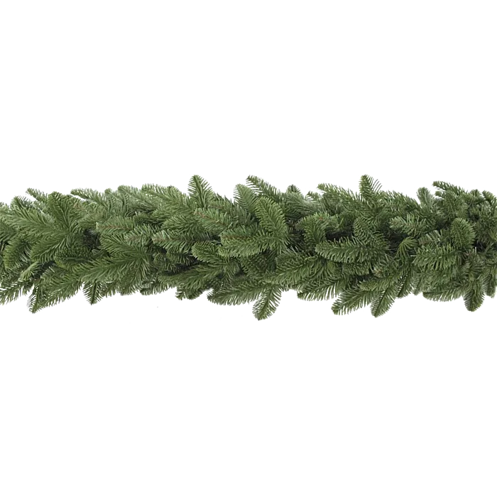 biezen-3737156