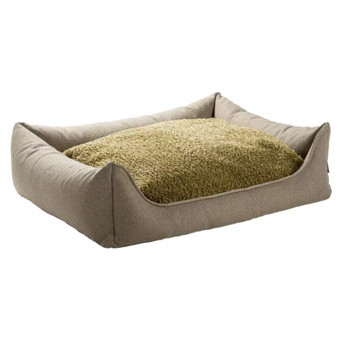 biezen-3746321