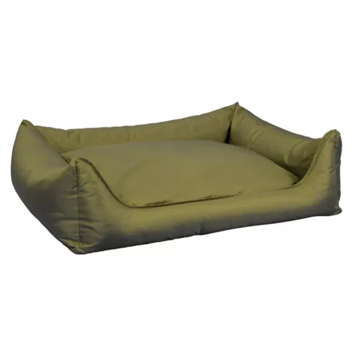 biezen-3746338