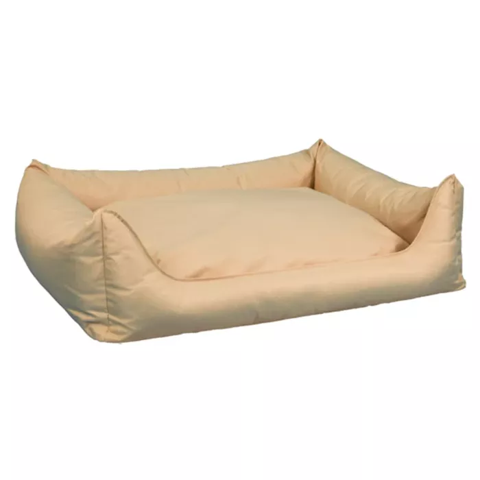 biezen-3746359