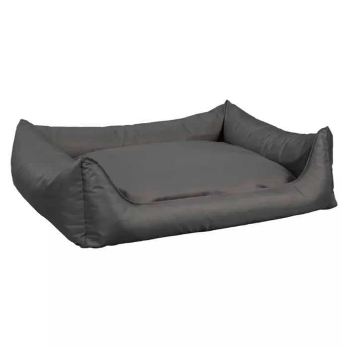 biezen-3746395