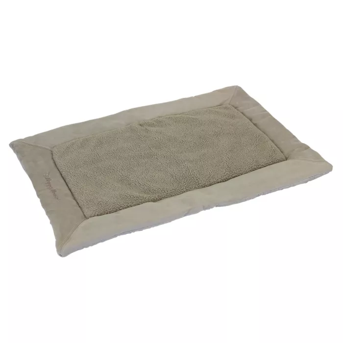 biezen-3746624