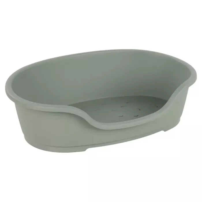 biezen-3746846