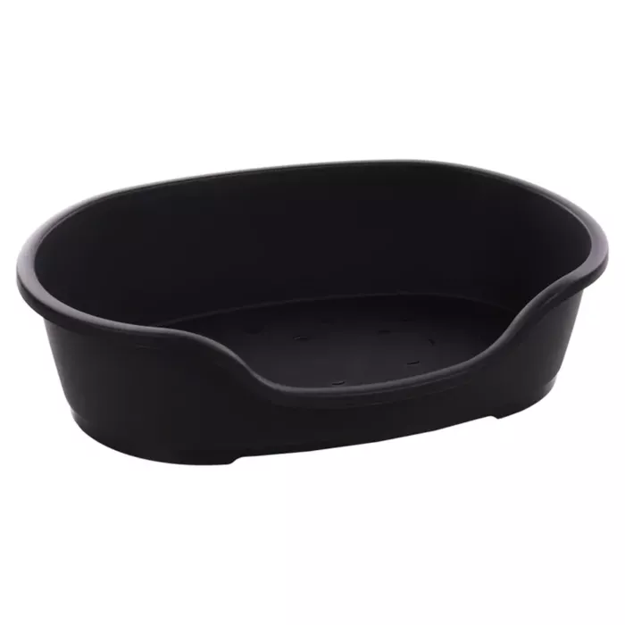 biezen-3746860