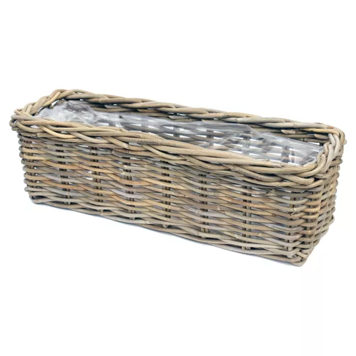 biezen-3747099
