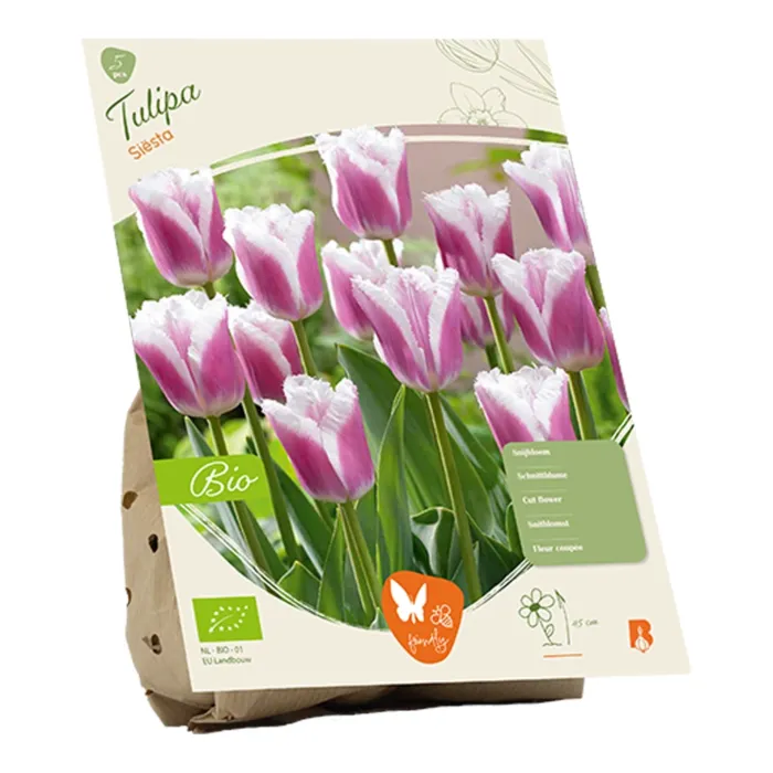 biezen-3751726