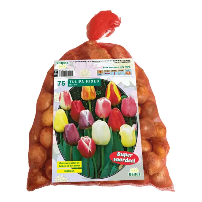 biezen-3751850