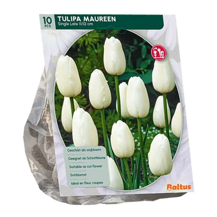 biezen-3752328