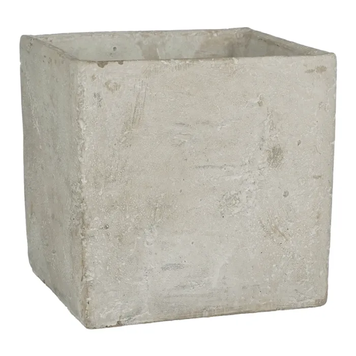 biezen-3755733