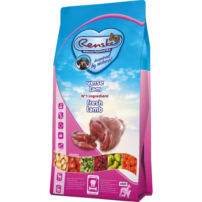 biezen-3767979