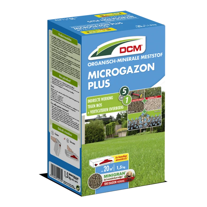 biezen-3768843