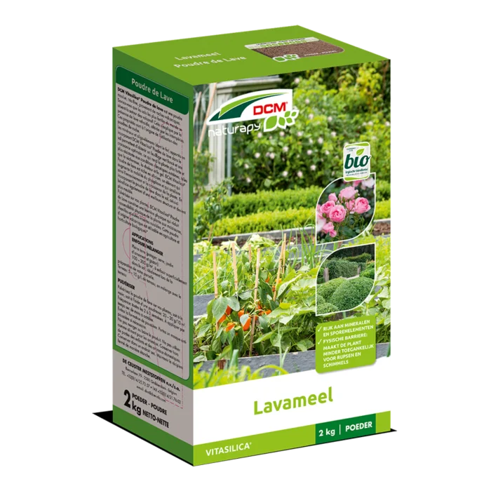 biezen-3769235