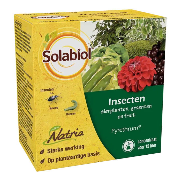 biezen-3769255