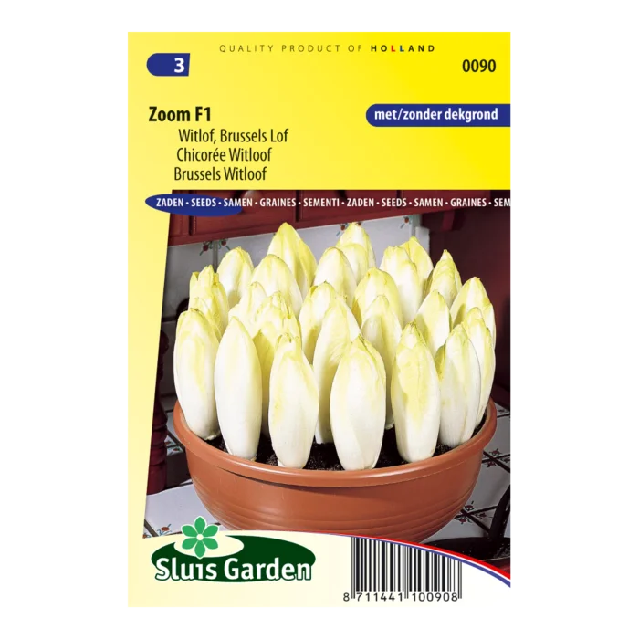 biezen-3769780