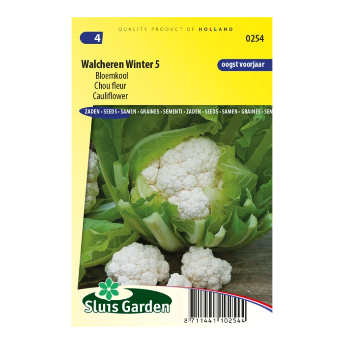 biezen-3769985