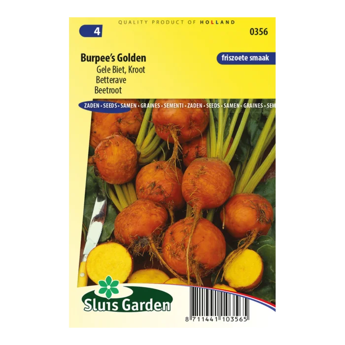 biezen-3770082