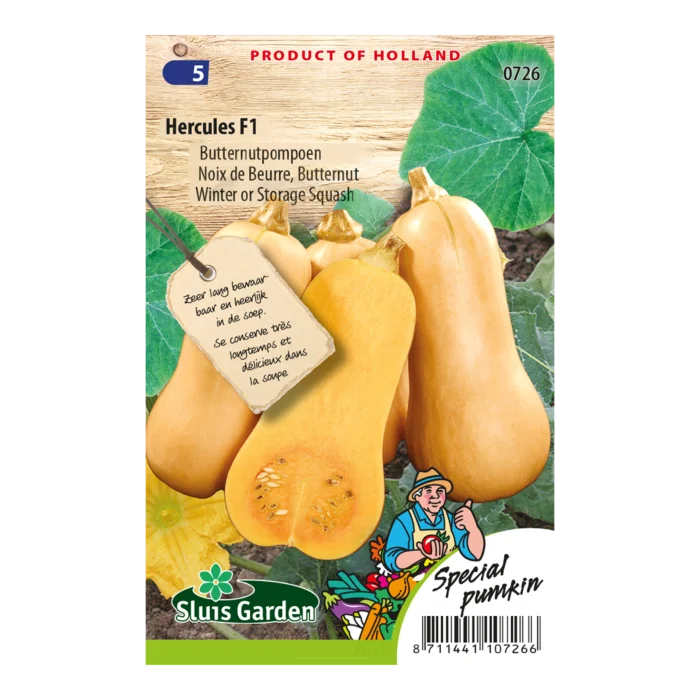 biezen-3770519