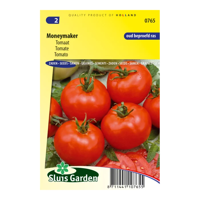 biezen-3770578