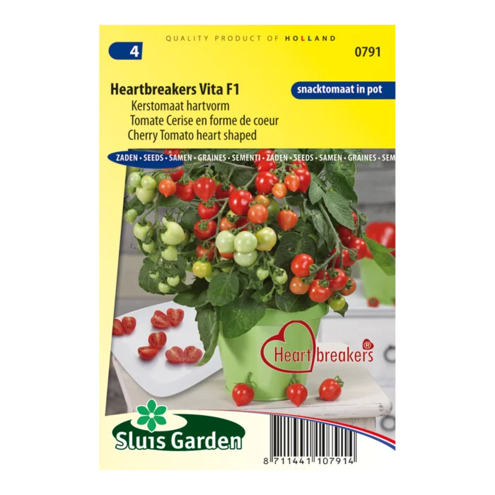 biezen-3770607