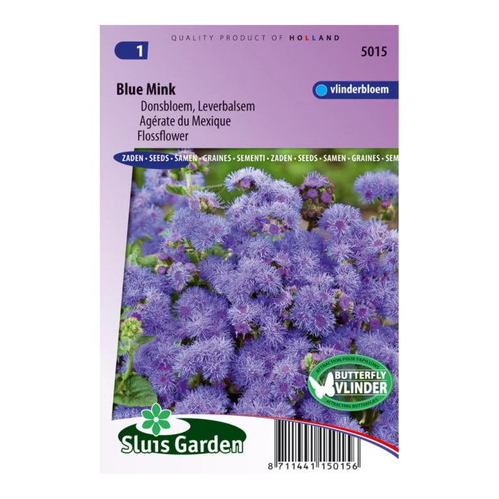 biezen-3771162