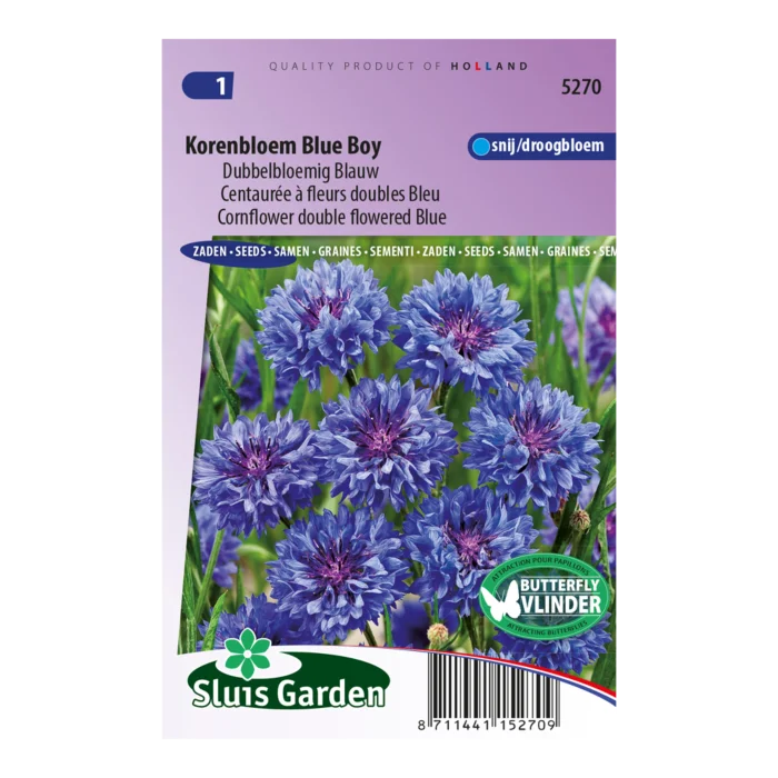 biezen-3771420