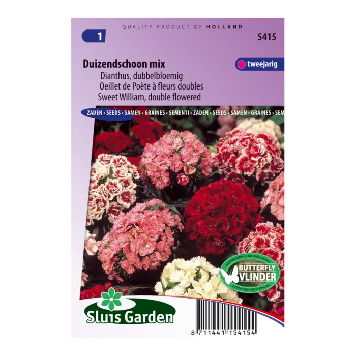 biezen-3771545