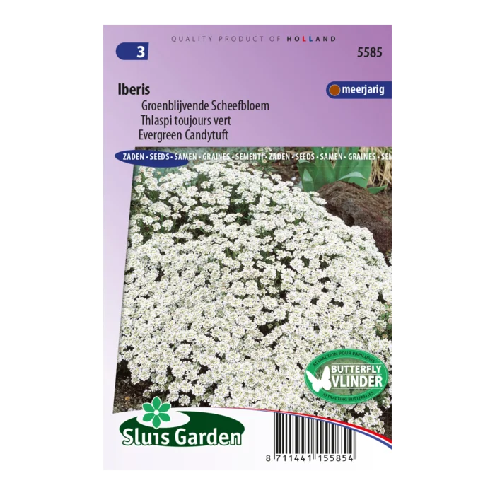 biezen-3771633