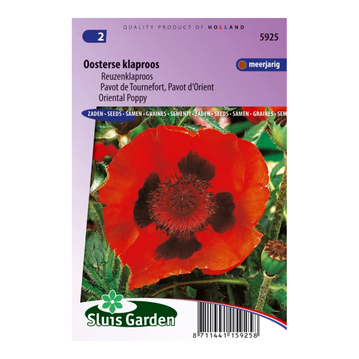 biezen-3771900